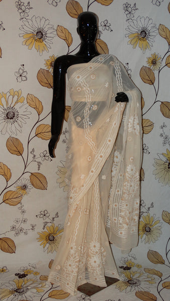 Rang Riwaaz Chikankari Beige Georgette Saree - Cotton thread chikan with heavy border and pallu RangRiwaaz lucknow sari 